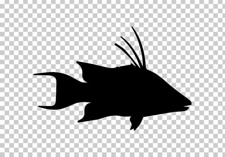 Silhouette Northern Red Snapper PNG, Clipart, Animal, Animals, Beak, Bird, Black And White Free PNG Download