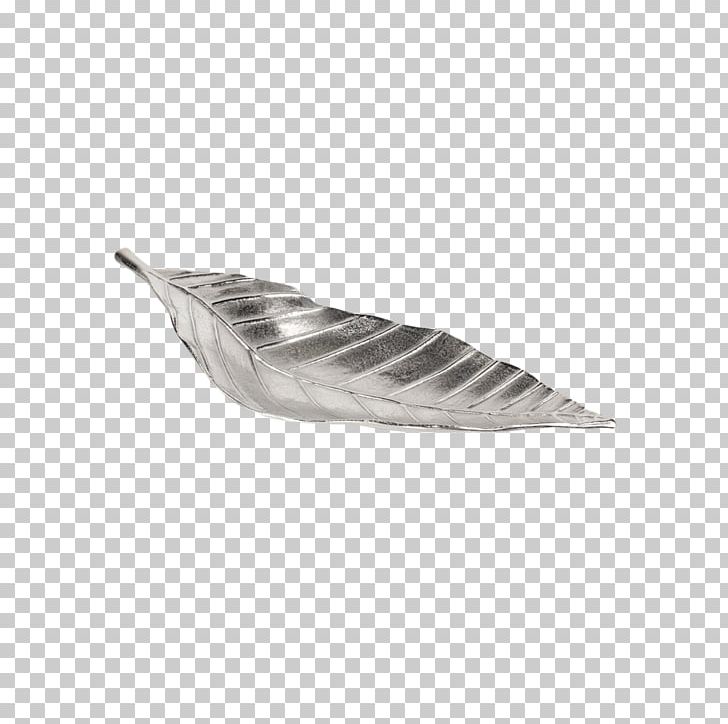 Feather PNG, Clipart, Animals, Cosmetics Decorative Material, Feather, Wing Free PNG Download