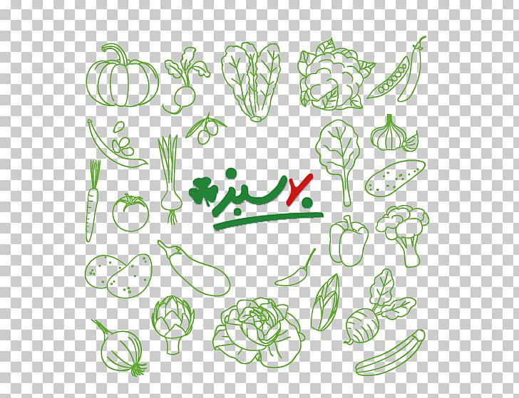 Vegetable Food Drawing PNG, Clipart, Angle, Area, Art, Artwork, Cabbage Free PNG Download