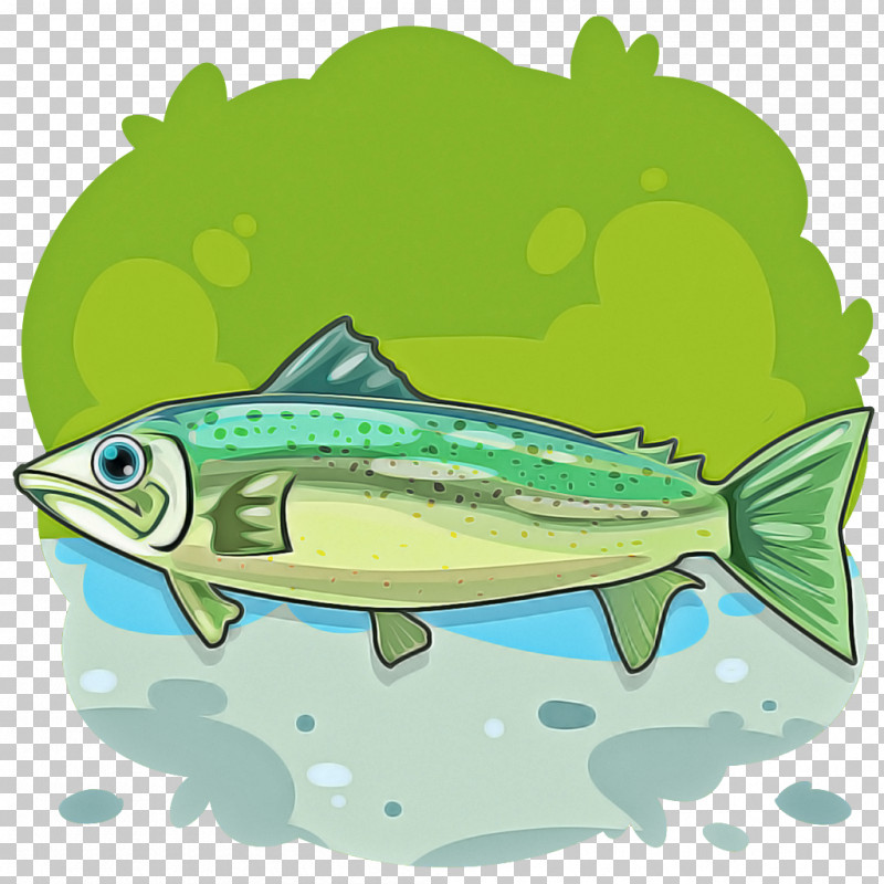 Fish Fish Mahi Mahi Bony-fish Salmon PNG, Clipart, Bonyfish, Fish, Mackerel, Mahi Mahi, Salmon Free PNG Download
