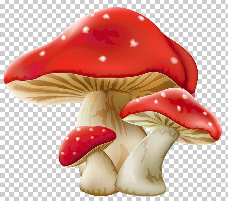 Amanita Muscaria Edible Mushroom PNG, Clipart, Amanita, Amanita Muscaria, Common Mushroom, Edible Mushroom, Figurine Free PNG Download