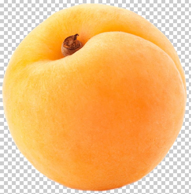 Apricot Fruit Vegetable PNG, Clipart, Apple, Apricot, Apricot Kernel, Food, Fruit Free PNG Download