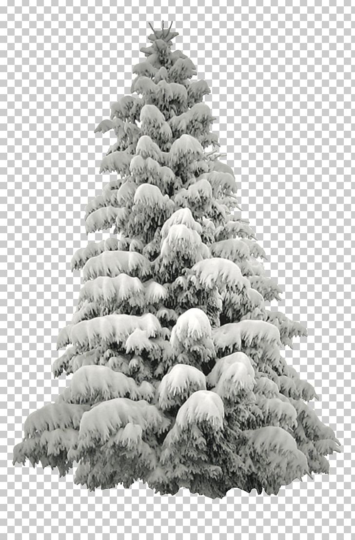 Christmas Winter Grace Randolph's Supurbia PNG, Clipart, Black And White, Celebrities, Chris Pine, Christmas, Christmas Decoration Free PNG Download