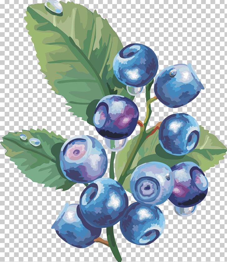 Paper PNG, Clipart, Bilberry, Blueberry, Cherries, Cherry, Chinese Lantern Free PNG Download