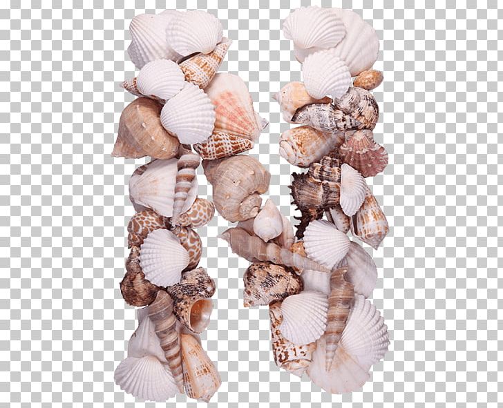 Seashell Letter Conchology Sea Glass Beach PNG, Clipart, Alphabet, Animals, Beach, Coast, Conchology Free PNG Download