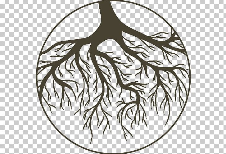 Tree Root Branch PNG, Clipart, Art, Artwork, Beak, Bird, Black And White Free PNG Download