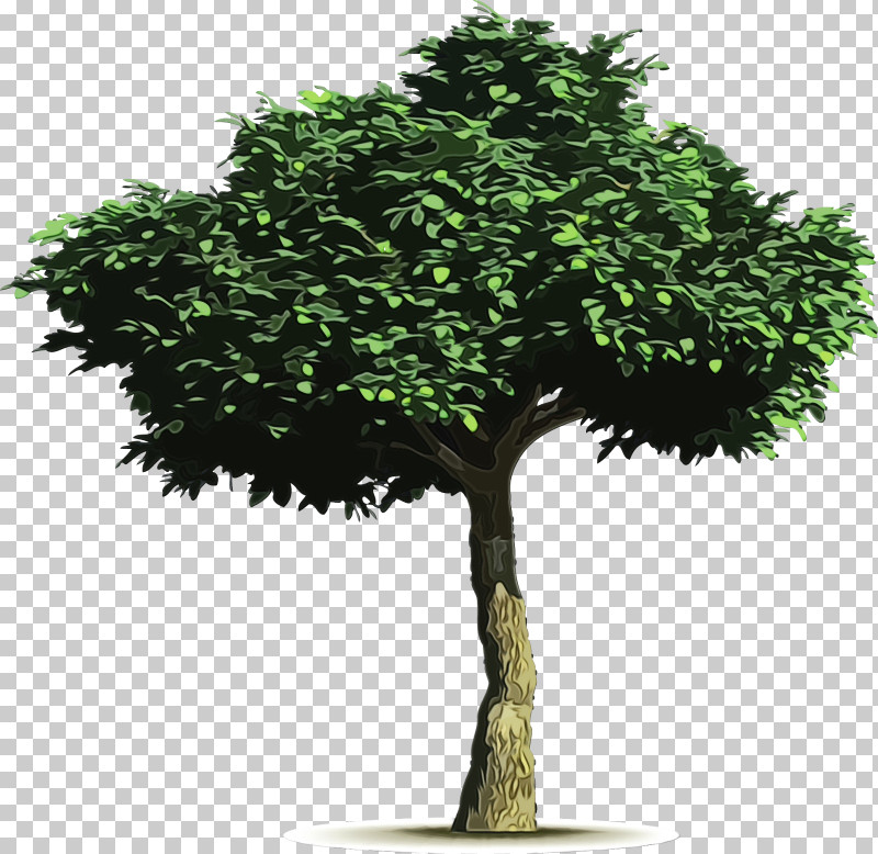 Arbor Day PNG, Clipart, Arbor Day, Flower, Grass, Green, Leaf Free PNG Download
