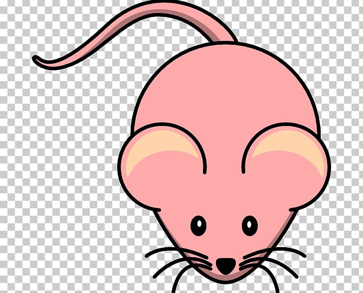 Computer Mouse PNG, Clipart, Black And White, Carnivoran, Cartoon, Cheek, Computer Icons Free PNG Download