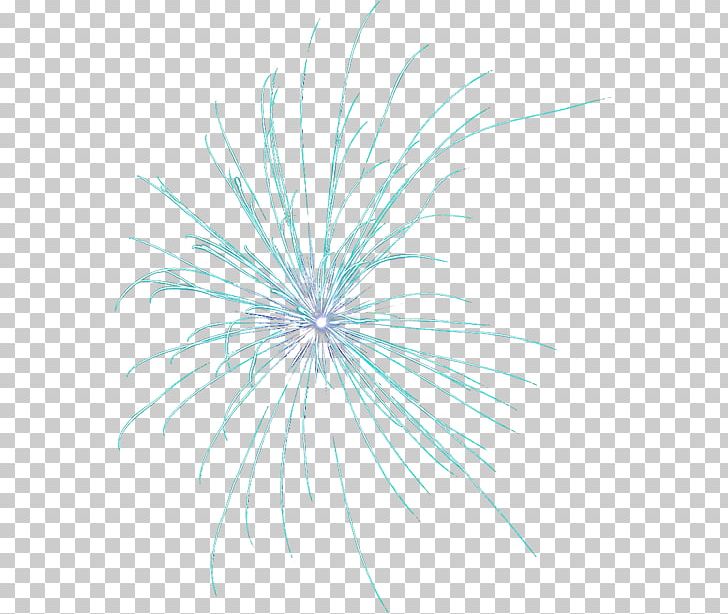 Desktop Flower Line Close-up Pattern PNG, Clipart, Circle, Closeup, Computer, Computer Wallpaper, Desktop Wallpaper Free PNG Download