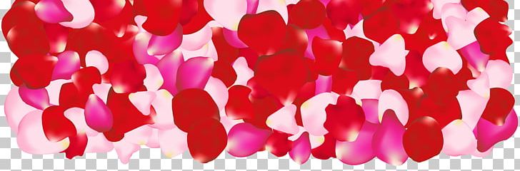 Petal Pink Flowers Rose PNG, Clipart, Cherry Blossom, Cut Flowers, Dahlia, Flower, Magenta Free PNG Download