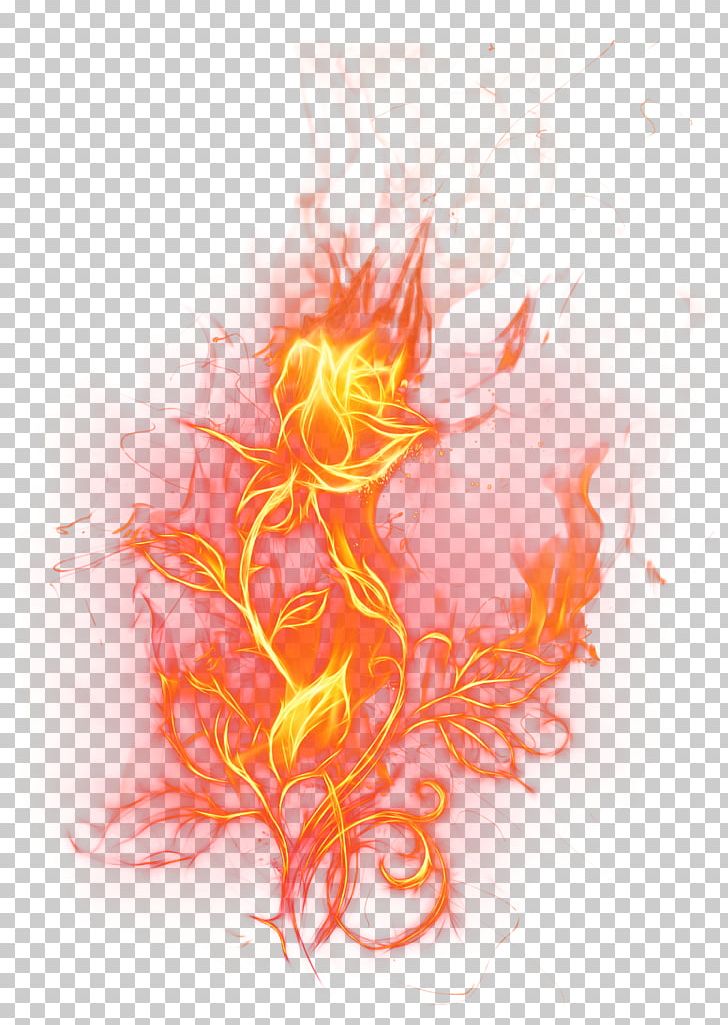 Light Rose Fire PNG, Clipart, Art, Clip Art, Color, Computer Wallpaper, Fire Free PNG Download