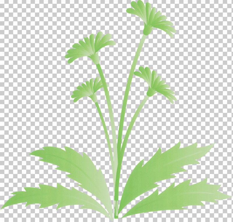 Dandelion Flower Easter Day Flower Spring Flower PNG, Clipart, Dandelion Flower, Easter Day Flower, Flower, Geranium, Grass Free PNG Download