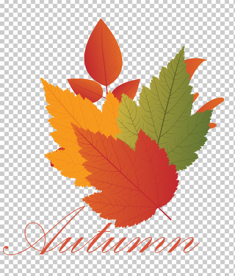 Hello Autumn Welcome Autumn Hello Fall PNG, Clipart, Autumn, Defoliation, Fall Maple Leaf, Green, Hello Autumn Free PNG Download