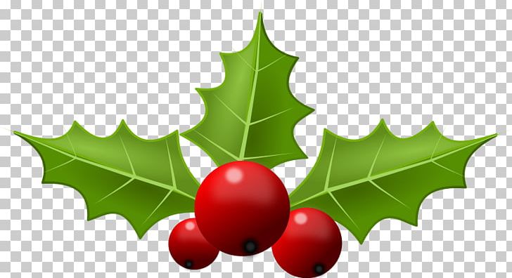 Common Holly Christmas Free Content PNG, Clipart, Aquifoliaceae, Aquifoliales, Blog, Christmas, Christmas Ornament Free PNG Download