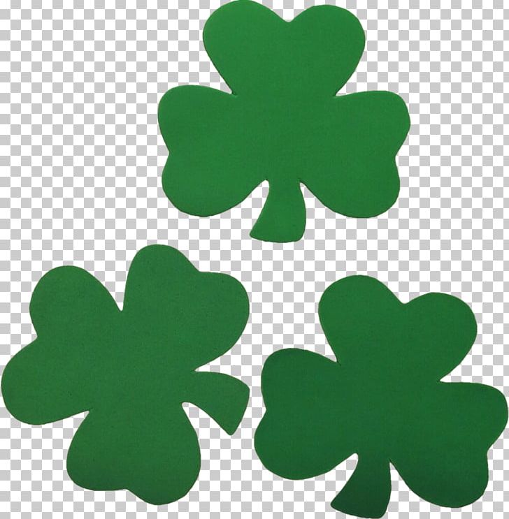St. Patrick's Cathedral Ireland Saint Patrick's Day Shamrock Irish People PNG, Clipart, Clover, Fourleaf Clover, Holiday, Holidays, Ireland Free PNG Download