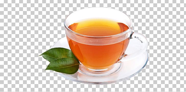 Green Tea Cup PNG, Clipart, Food, Tea Free PNG Download