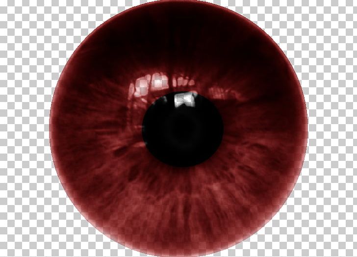 Human Eye Iris Lens Color Png Clipart Circle Closeup Color Contact Lenses Dente Free Png Download