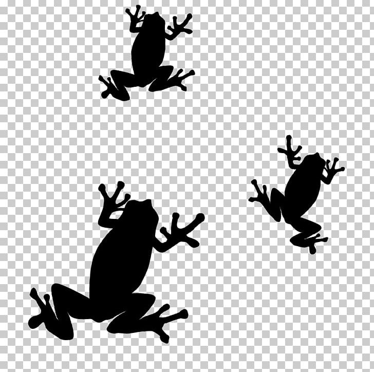 Toad Frog Silhouette PNG, Clipart, Amphibian, Animals, Artwork, Black And White, Branch Free PNG Download