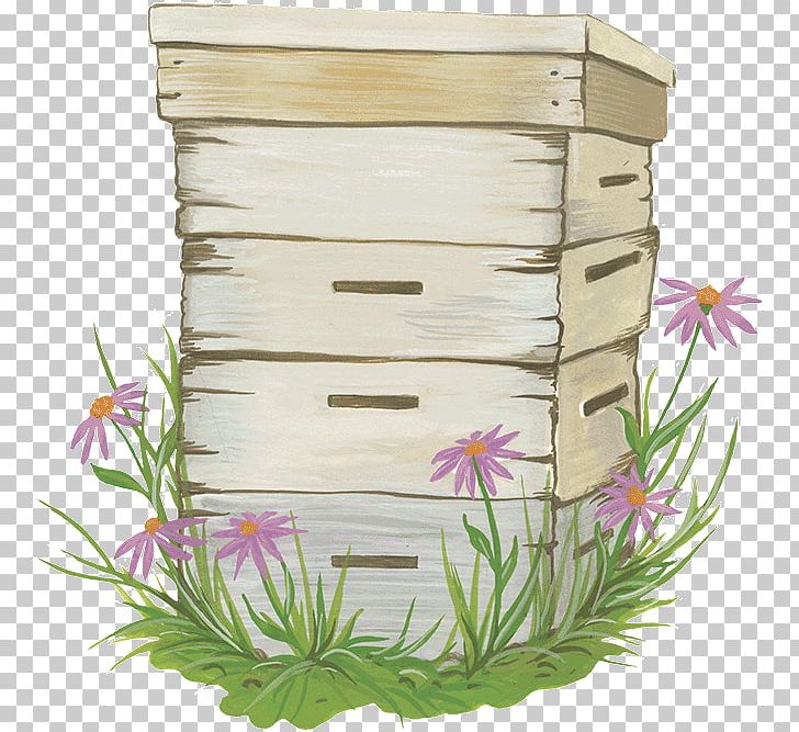 Flowerpot PNG, Clipart, Bee Hive, Flower, Flowerpot, Grass, Plant Free PNG Download