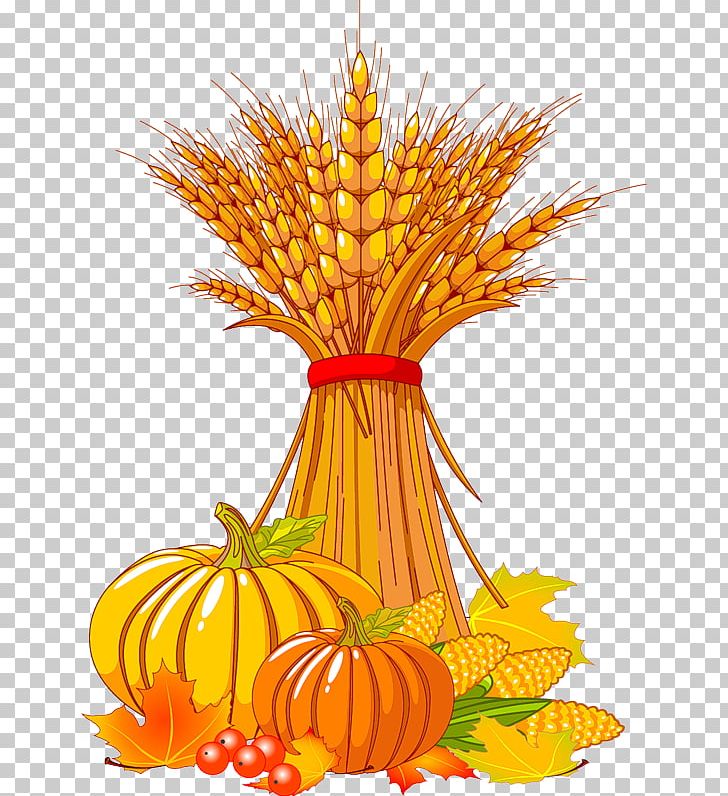 Harvest Festival PNG, Clipart, Autumn, Commodity, Crop, Download, Flower Free PNG Download