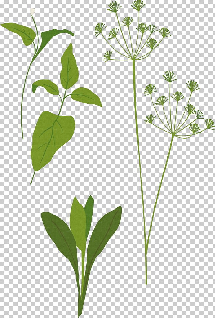 Herb Computer Icons Spice Favicon PNG, Clipart, Basil, Clothing, Computer Icons, Flora, Flower Free PNG Download