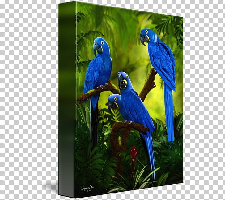 Macaw Parakeet Cobalt Blue Feather Beak PNG, Clipart, Beak, Bird, Blue, Bluebird, Cobalt Free PNG Download