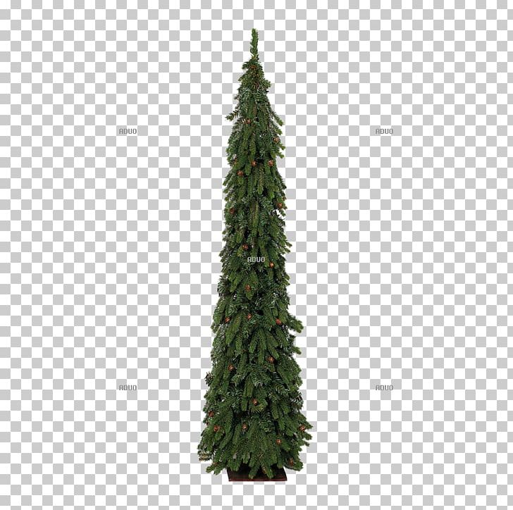 Spruce Fir Christmas Tree Pine O Tannenbaum PNG, Clipart, Biome, Christmas, Christmas Decoration, Christmas Tree, Conifer Free PNG Download