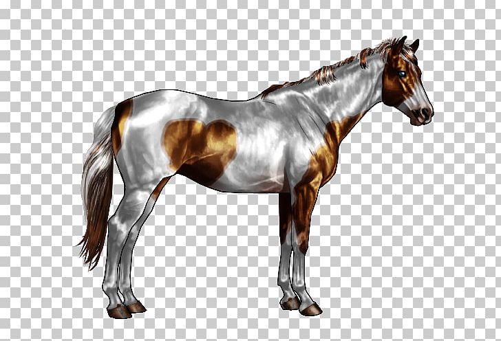 American Paint Horse American Quarter Horse Spotted Saddle Horse Horse Markings Roan PNG, Clipart, American Paint Horse, American Paint Horse Association, Black, Color, Horse Free PNG Download