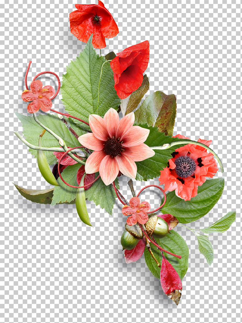 Floral Design PNG, Clipart, Bamboo, Cut Flowers, Floral Design, Flower, Flower Bouquet Free PNG Download