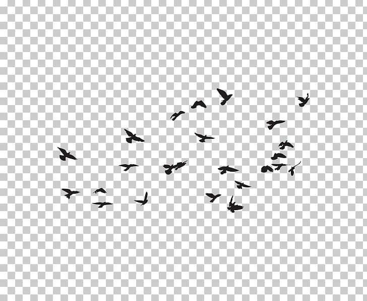 Bird Flock PNG, Clipart, Animal Migration, Animals, Beak, Bird, Bird Migration Free PNG Download