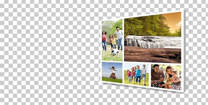 North Carolina Advertising Frames Vacation Tourism PNG, Clipart, Advertising, Brand, Collage, North Carolina, Photographic Paper Free PNG Download