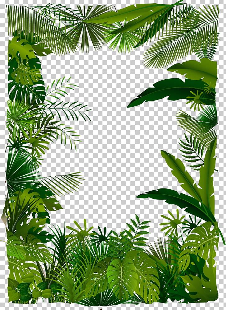 Tropical Forest Euclidean Tree Illustration PNG, Clipart, Arecaceae, Arecales, Autumn Tree, Christmas Tree, Family Tree Free PNG Download