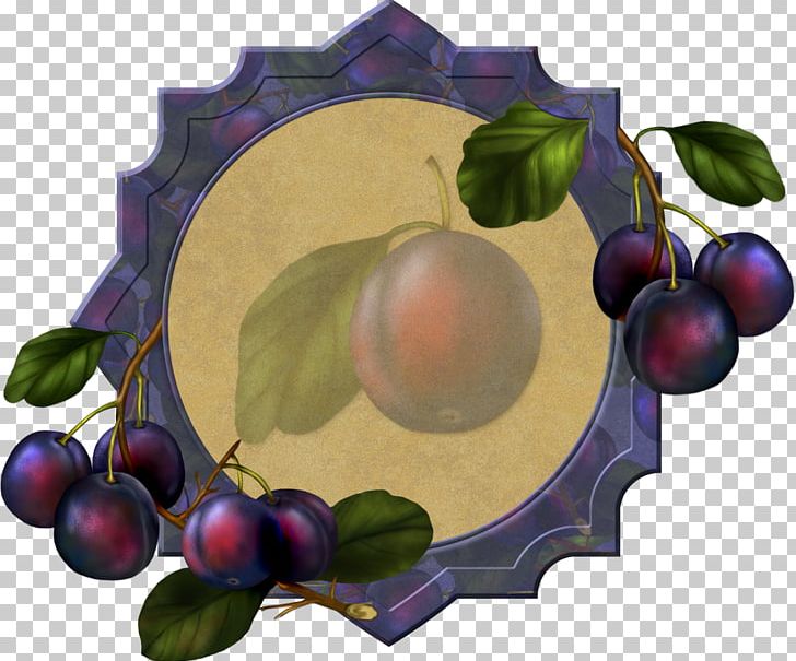 Grape Paper PNG, Clipart, Animation, Apple, Blog, Damson, Drawing Free PNG Download