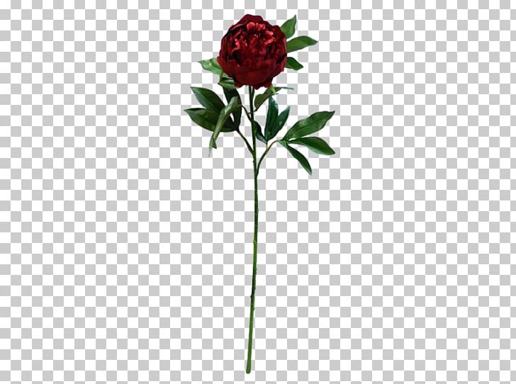 Peony Garden Roses Cut Flowers Artificial Flower PNG, Clipart, Artificial Flower, Bud, Cut Flowers, Flora, Flower Free PNG Download