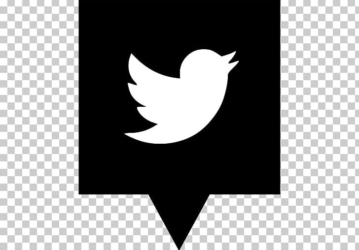 Social Media Computer Icons Logo Management Industry PNG, Clipart, Beak, Bird, Black, Business, Company Free PNG Download