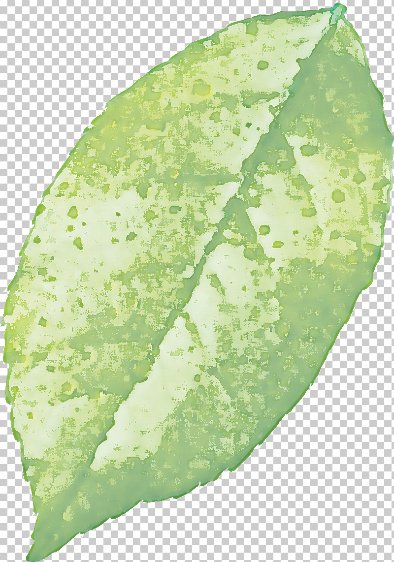 Plant Pathology Leaf Vegetable Pathology Plants PNG, Clipart, Biology, Leaf, Pathology, Plant Pathology, Plants Free PNG Download