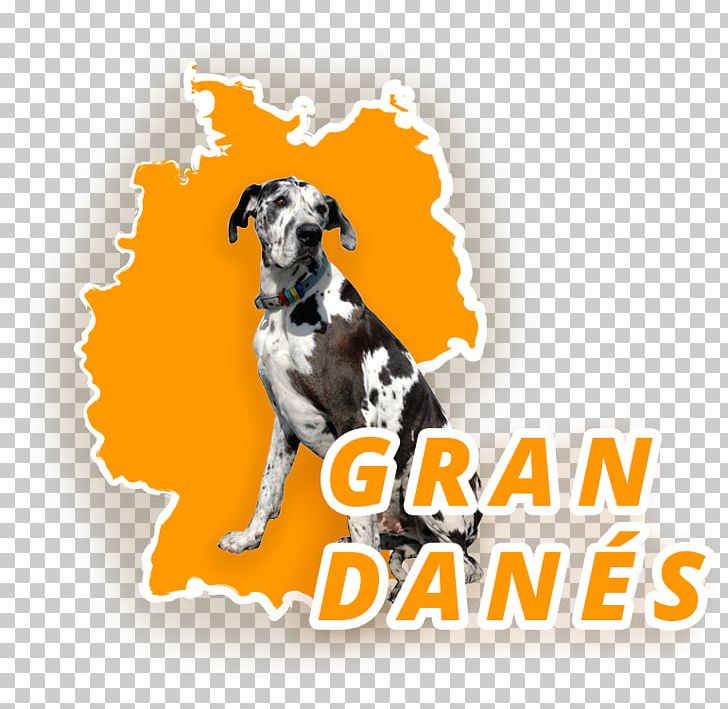 Dog Breed Great Dane Dogo Argentino Spanish Greyhound PNG, Clipart, Alans, Breed, Carnivoran, Crossbreed, Dog Free PNG Download