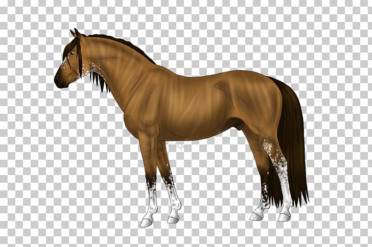 Mane Mustang Stallion Andalusian Horse American Miniature Horse PNG, Clipart, Amer, Andalusian Horse, Animal Figure, Appaloosa, Bridle Free PNG Download