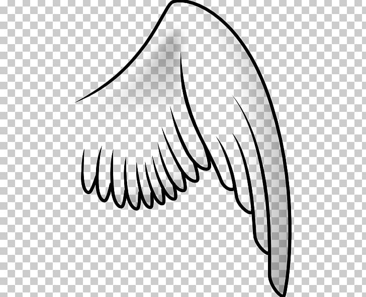 Buffalo Wing PNG, Clipart, Angel Wing, Angle, Area, Beak, Black Free PNG Download