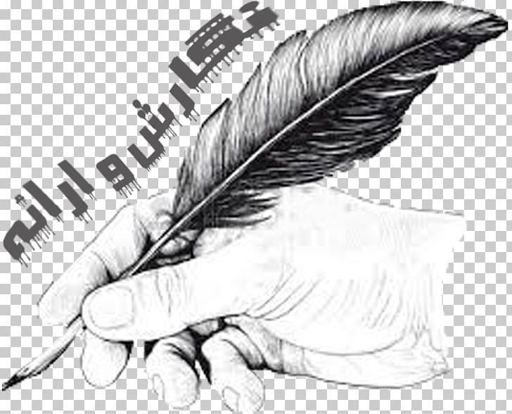 Paper Quill Pens Drawing PNG, Clipart, Animals, Black And White, Drawing, Encapsulated Postscript, Feather Free PNG Download