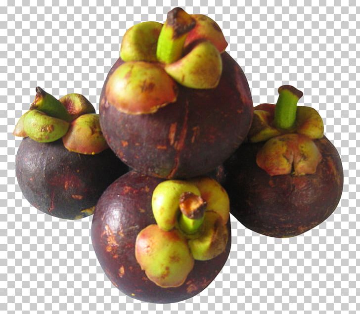 Purple Mangosteen PNG, Clipart, Apple, Color, Computer Graphics, Download, Editing Free PNG Download