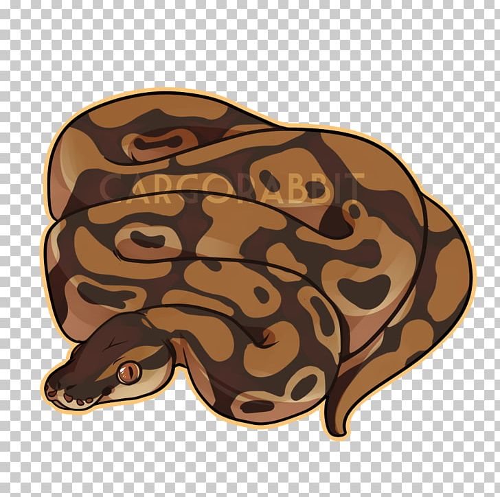 T-shirt Ball Python Snake Boa Constrictor Hoodie PNG, Clipart, Ball Python, Boa Constrictor, Boas, Clothing, Cotton Free PNG Download