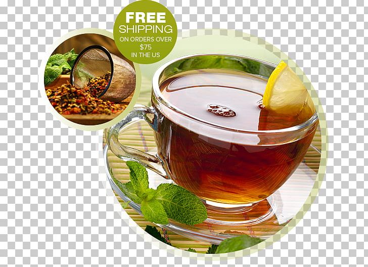 Intestine Medicinal Plants Health Medicine PNG, Clipart, Assam Tea, Catnip, Chinese Herb Tea, Coffee Cup, Food Free PNG Download