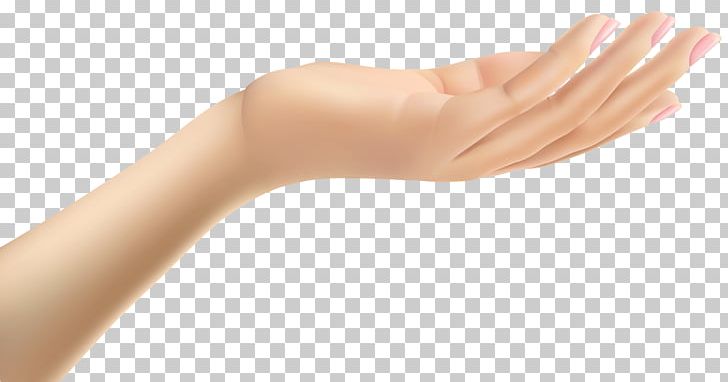 Thumb Hand Arm PNG, Clipart, Arm, Clip Art, Drawing, Female, Female Hand Free PNG Download