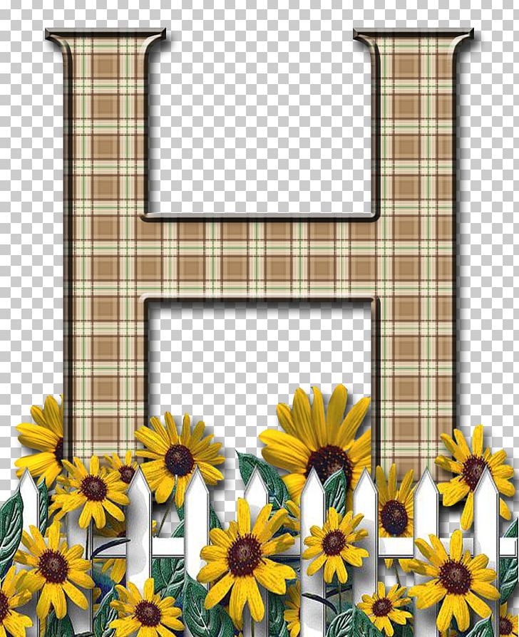 Letter Case English Alphabet Y PNG, Clipart, Alphabet, Daisy Family, English, English Alphabet, Flora Free PNG Download