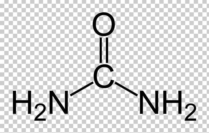 Urea Chemistry Molecule Chemical Compound Atom PNG, Clipart, Acid, Angle, Area, Atom, Brand Free PNG Download