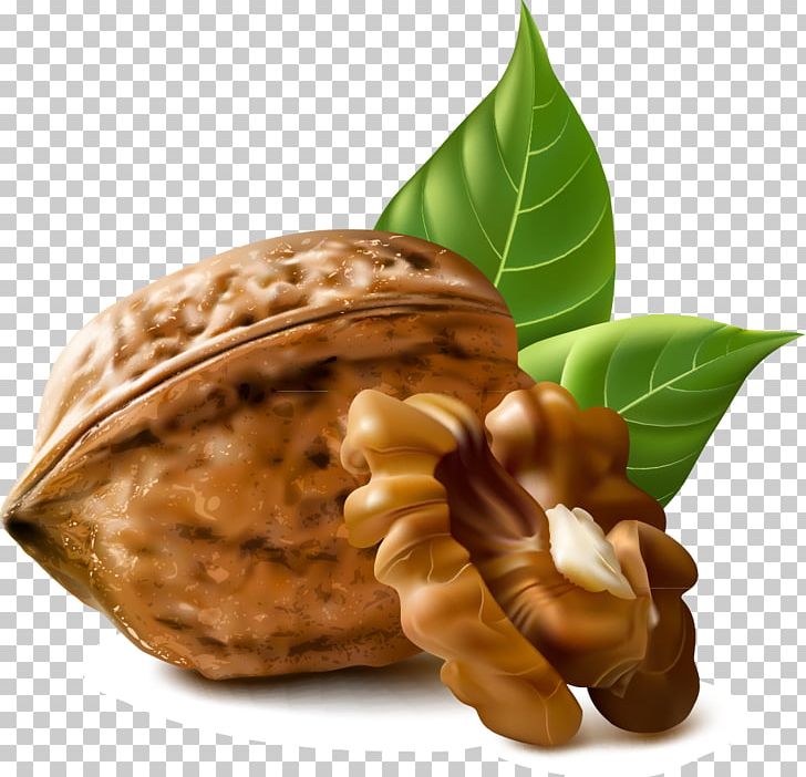 Walnut Stock Photography Illustration PNG, Clipart, Biscuit, Commodity, Encapsulated Postscript, Food, Fruit Free PNG Download