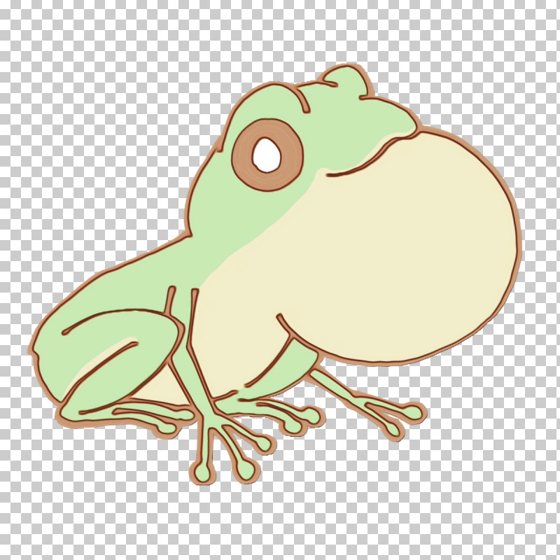 Toad True Frog Tree Frog Frogs Beak PNG, Clipart, Beak, Frogs, Paint, Toad, Tree Frog Free PNG Download