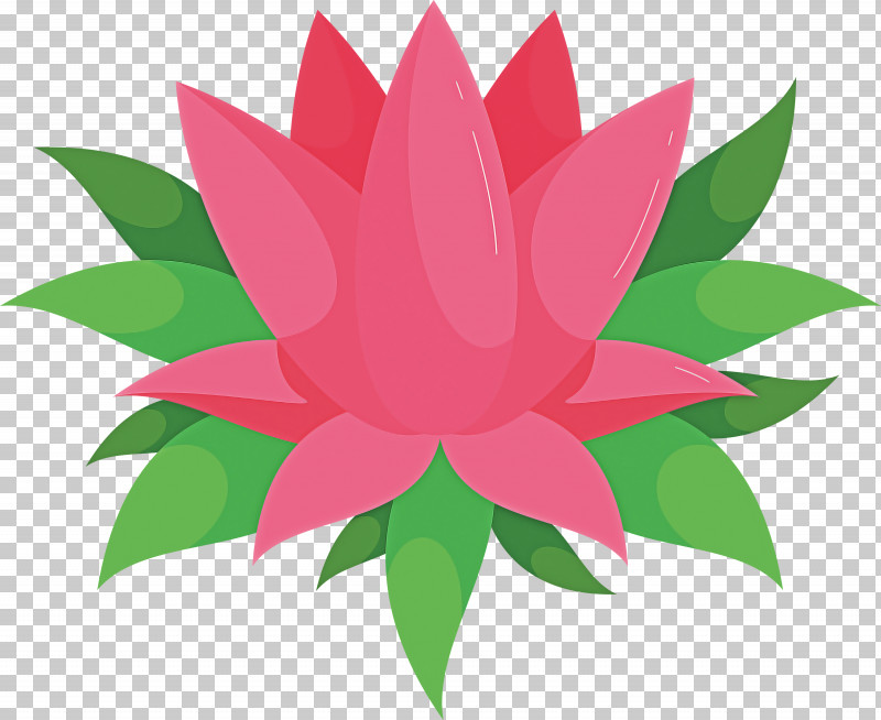 Diwali Element Divali Element Deepavali Element PNG, Clipart, Aquatic Plant, Biology, Branch, Deepavali Element, Dipawali Element Free PNG Download