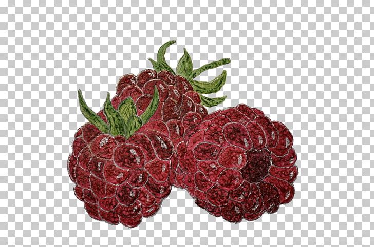 Association Agroparc Loganberry Boysenberry Strawberry Montfavet PNG, Clipart,  Free PNG Download